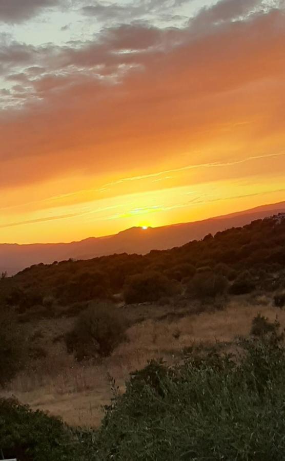 B&B Valverde Dorgali Exteriér fotografie