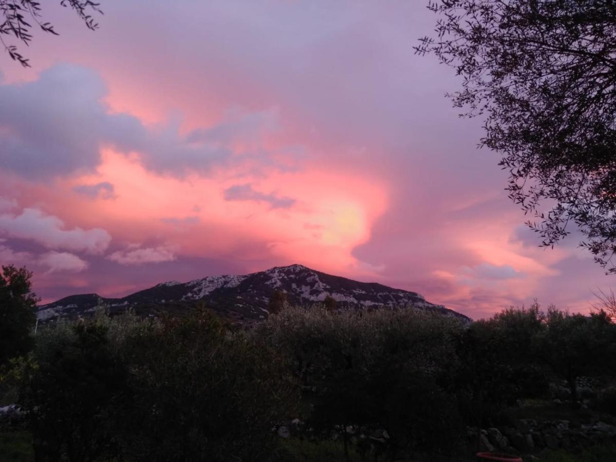 B&B Valverde Dorgali Exteriér fotografie